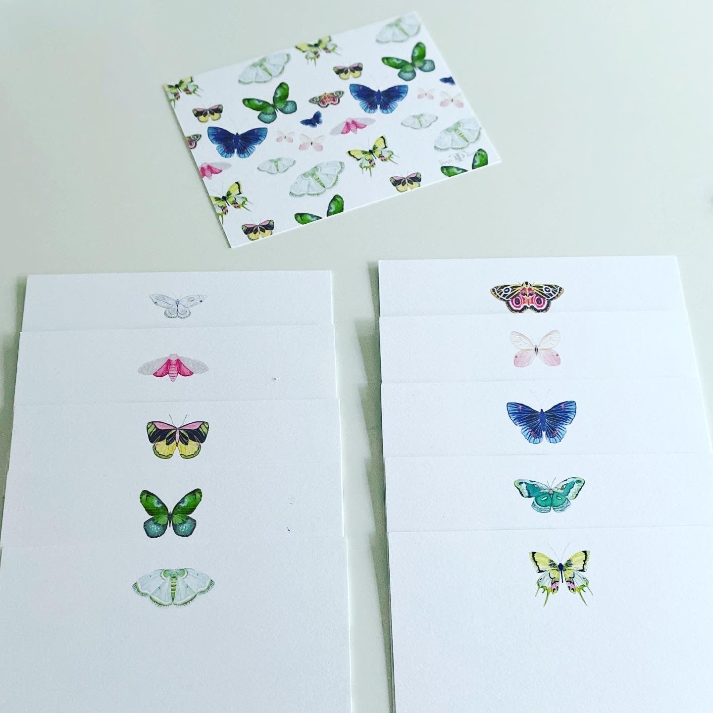 Butterflies Stock note set