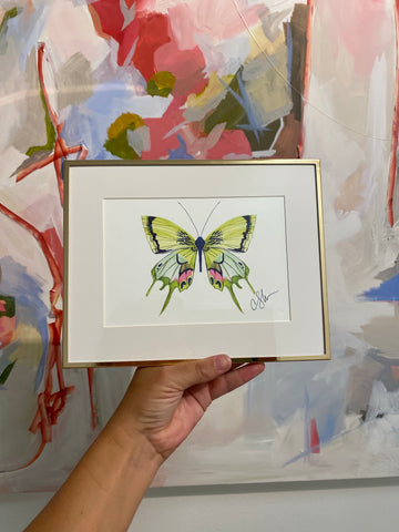 Butterfly Prints 5x7