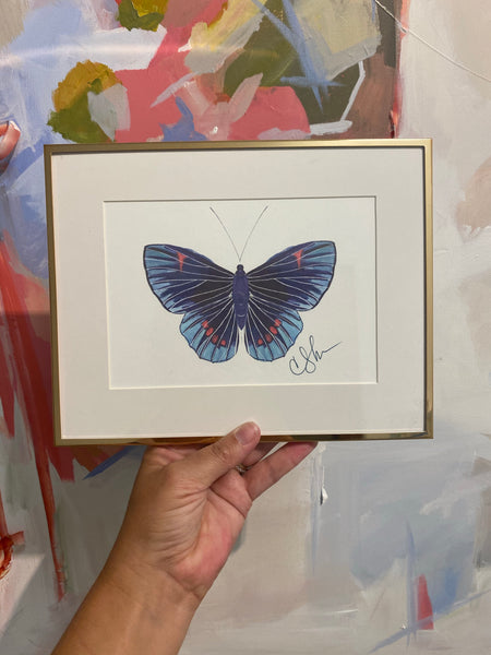 Butterfly Prints 5x7