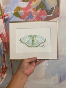 Butterfly Prints 5x7